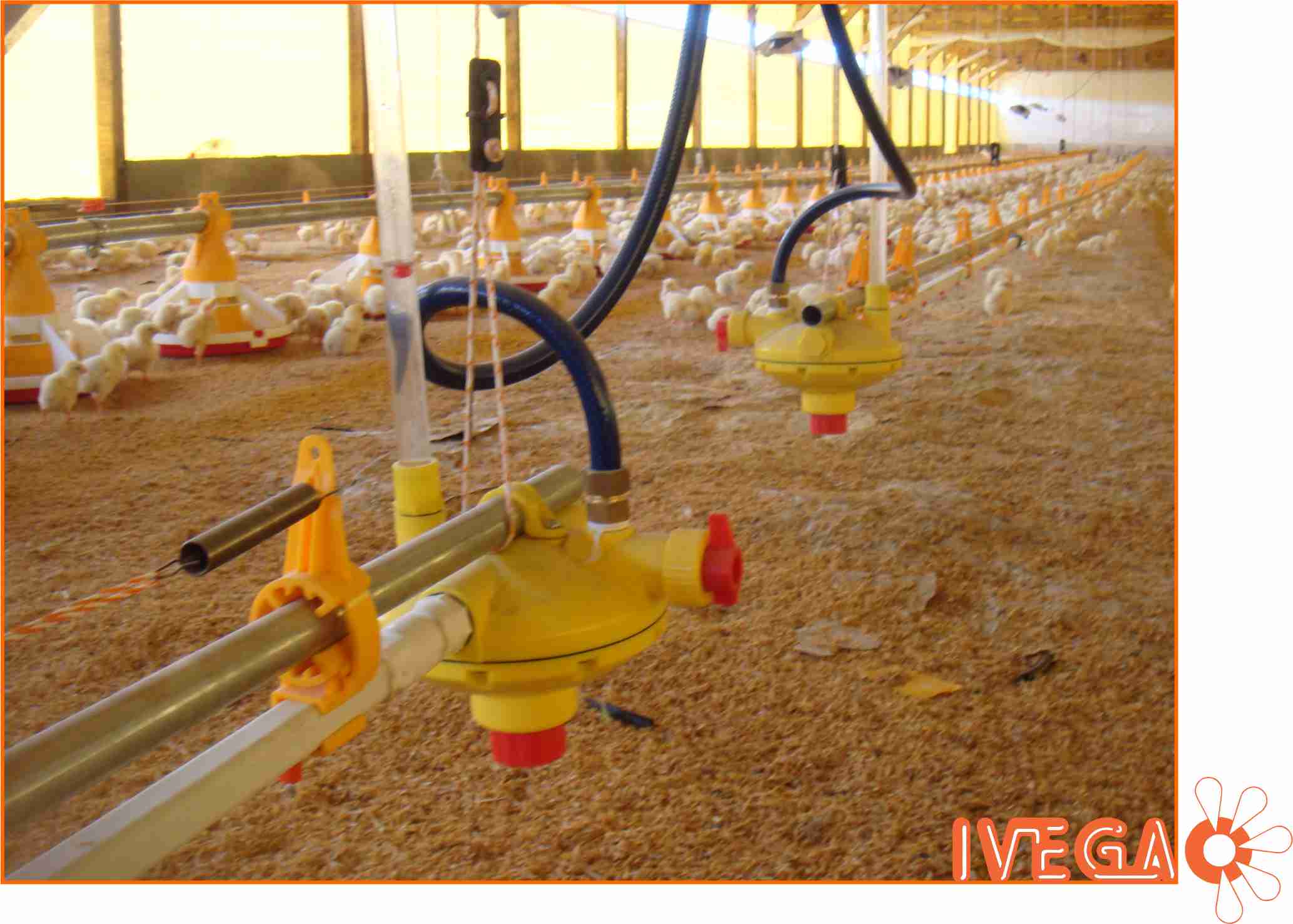 regulador de presion en mitad de línea de bebedero automático tipo nipple para granja avicola